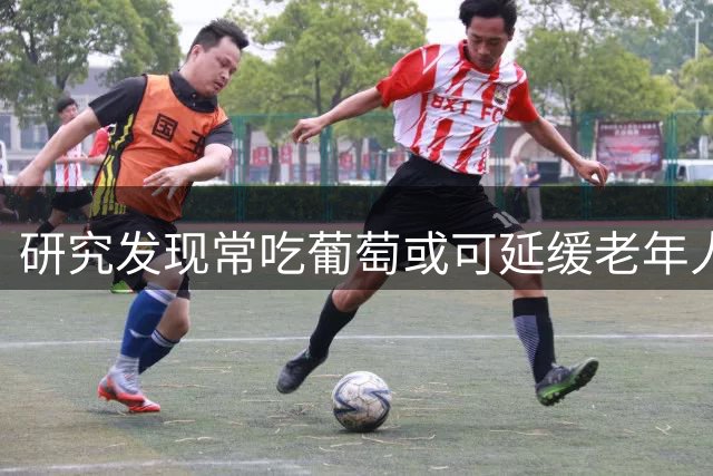 研究发现常吃葡萄或可延缓老年人肌肉衰退？科学揭秘背后机制