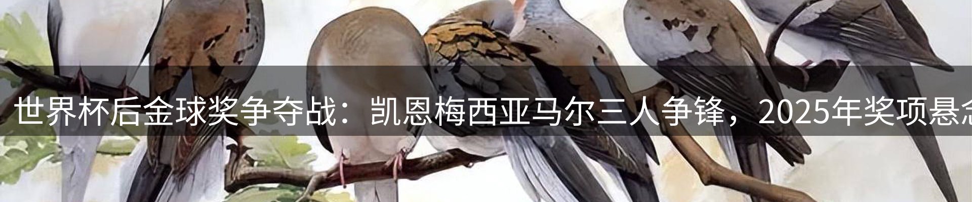 新闻资讯