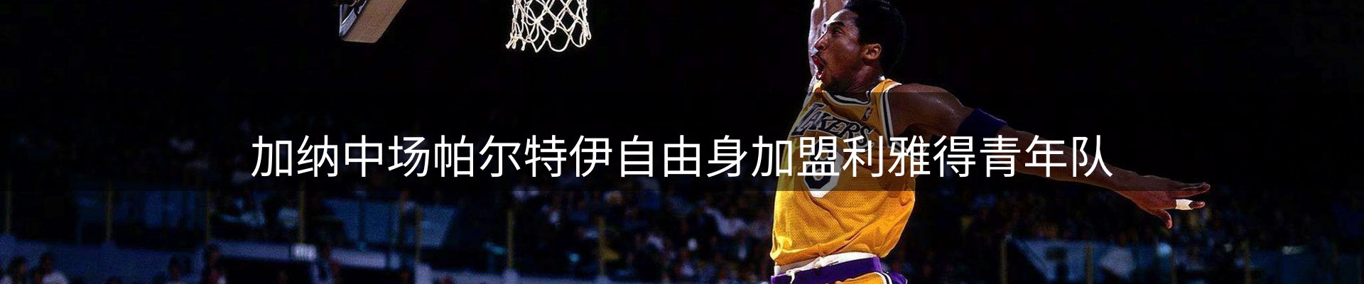 新闻资讯