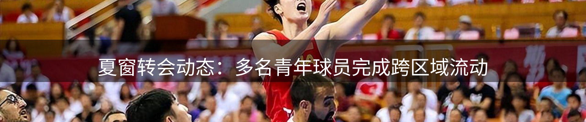 新闻资讯
