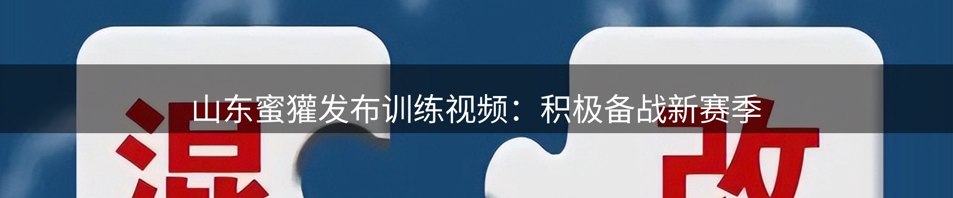每日观察