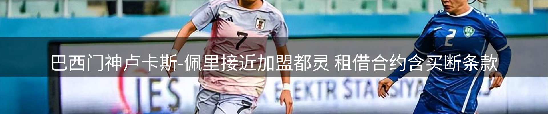 新闻资讯