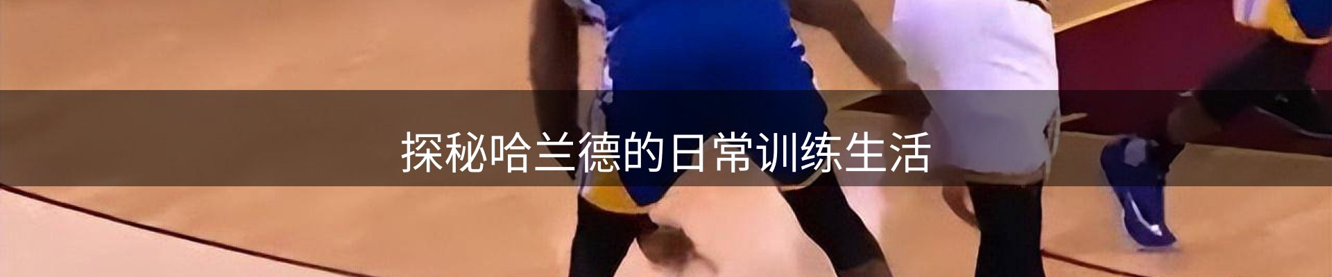 新闻资讯