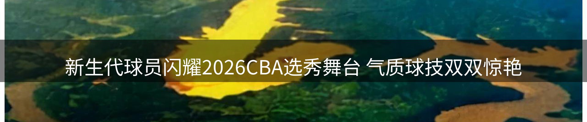 新闻资讯