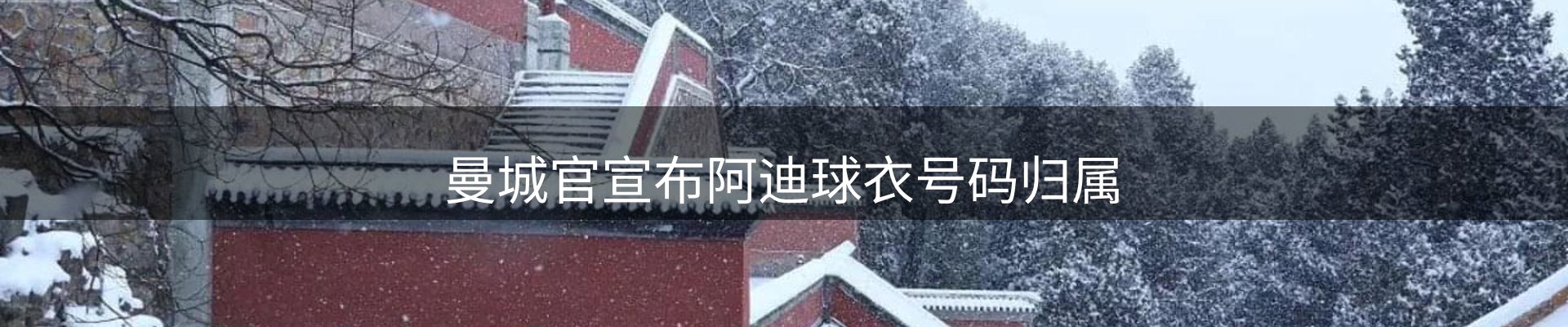 新闻资讯