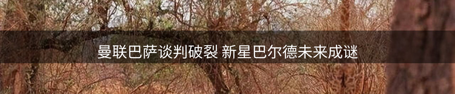新闻资讯
