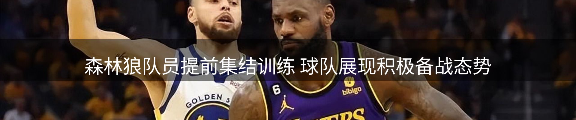 新闻资讯