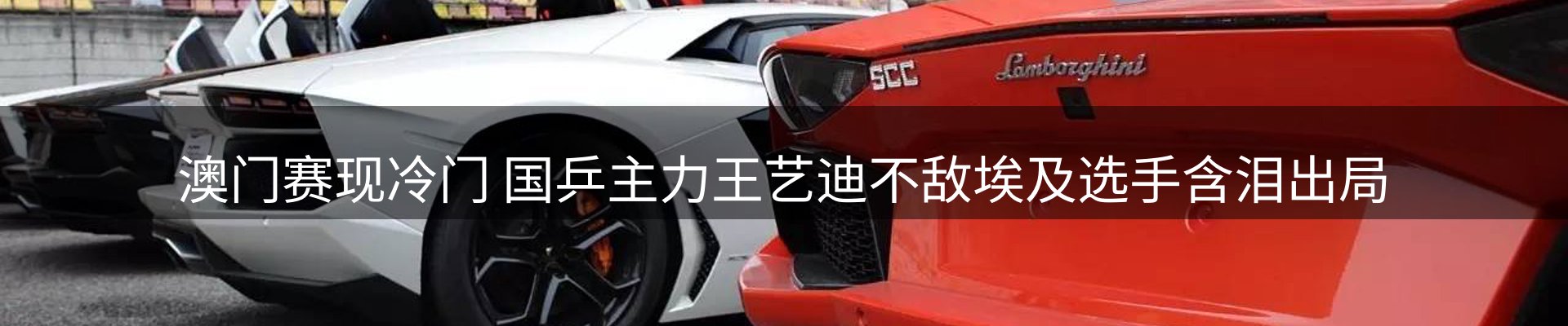 每日观察