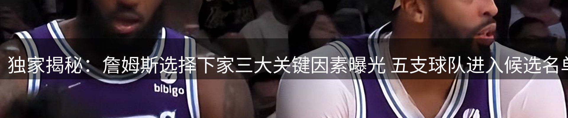 新闻资讯
